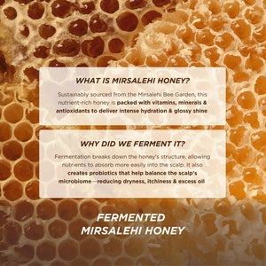 Honey Gloss Ceramide Therapy Hydrating Shampoo