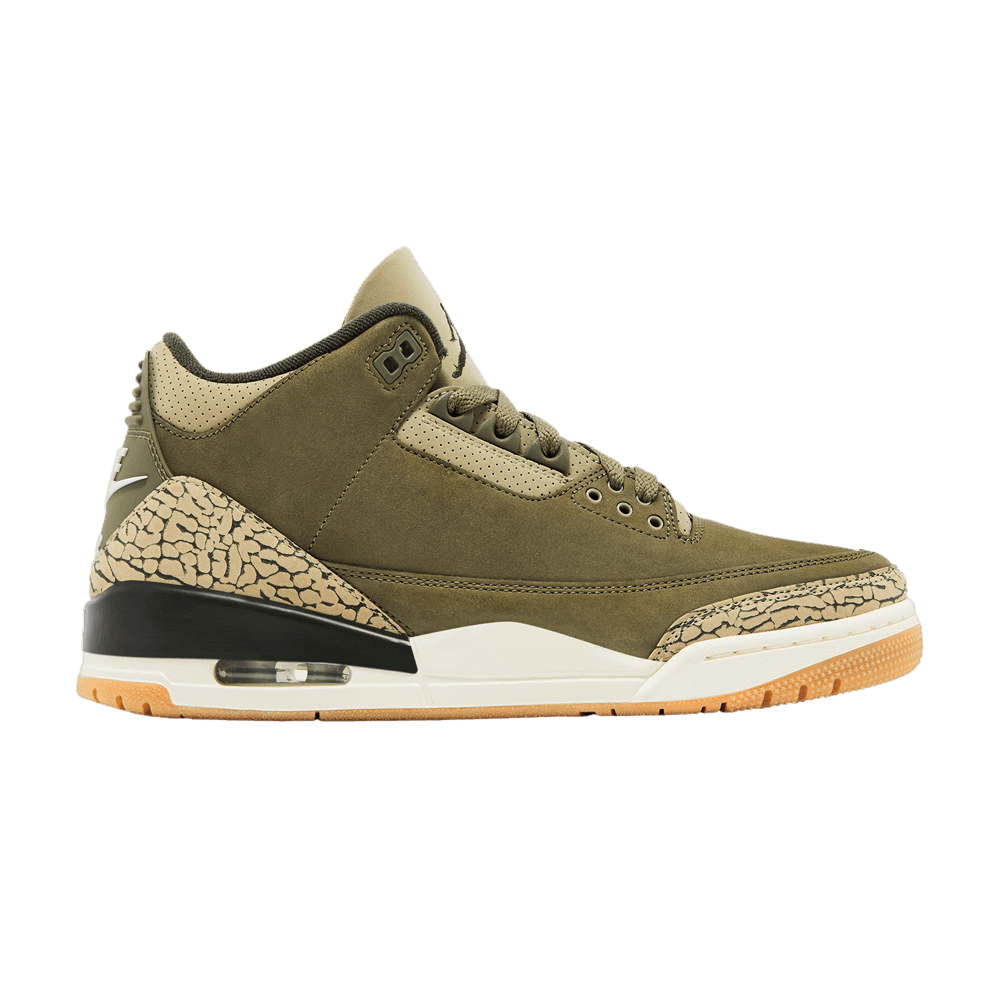 Air Jordan 3 Retro Family Affair