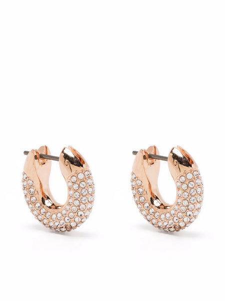 Dextera hoop earrings