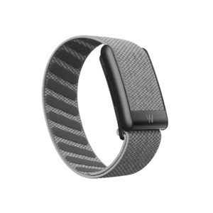Whoop 5.0 Superknit Graphite Band - Only Strap