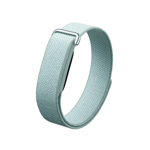 Google Fitbit Air "Fog"