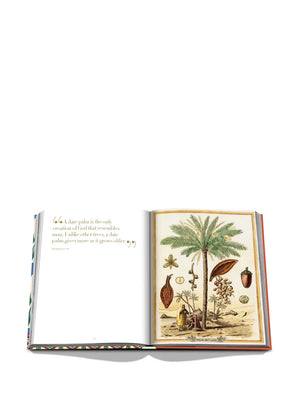 Saudi Dates: A Portrait of the Sacred Fruit