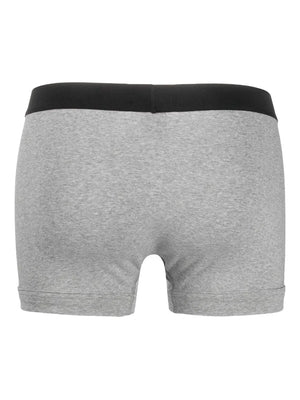 logo-waistband boxer briefs (pack of two)