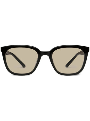Pino 01(BR) sunglasses