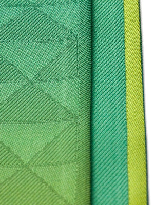 Printed Silk Scarf