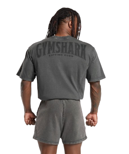 Gymshark Heritage Washed T-Shirt - Onyx Grey