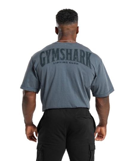 Gymshark Heritage Washed T-Shirt - Titanium Blue