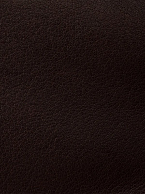medium Explore leather shoulder bag