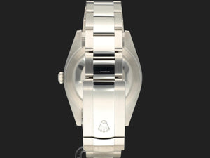 Rolex | Datejust | 126300 | Steel | 41 mm | Steel | Automatic