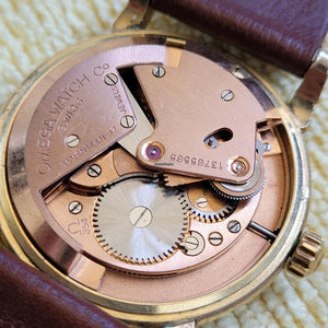 Omega Bumper