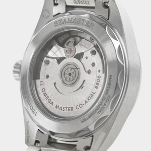 Omega Seamaster Railmaster Co-Axial Master Chronometer Automatic / Steel / 38 mm / Box&Papers / 235.10.38.20.06.001