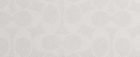 West Backpack In Signature Canvas