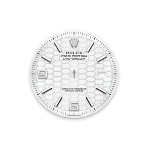 Rolex | Land-Dweller | 127334-0001 | Gold/Steel | 40mm mm | Steel | White | Automatic