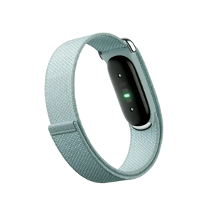 Google Fitbit Air "Fog"