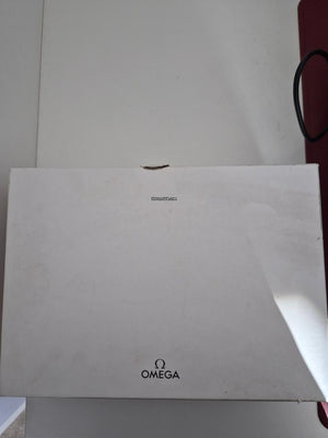 Omega Seamaster Men's Steel Seamaster