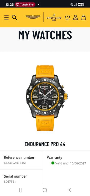 Breitling Professional