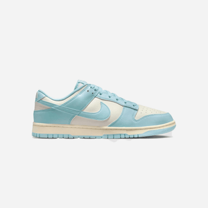 Nike Dunk Low Retro Blue
