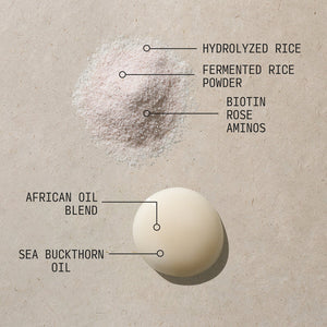 Fermented Rice & Rose Protein Ritual