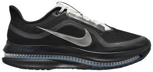 Nike Pegasus Premium SP Black Metallic Silver