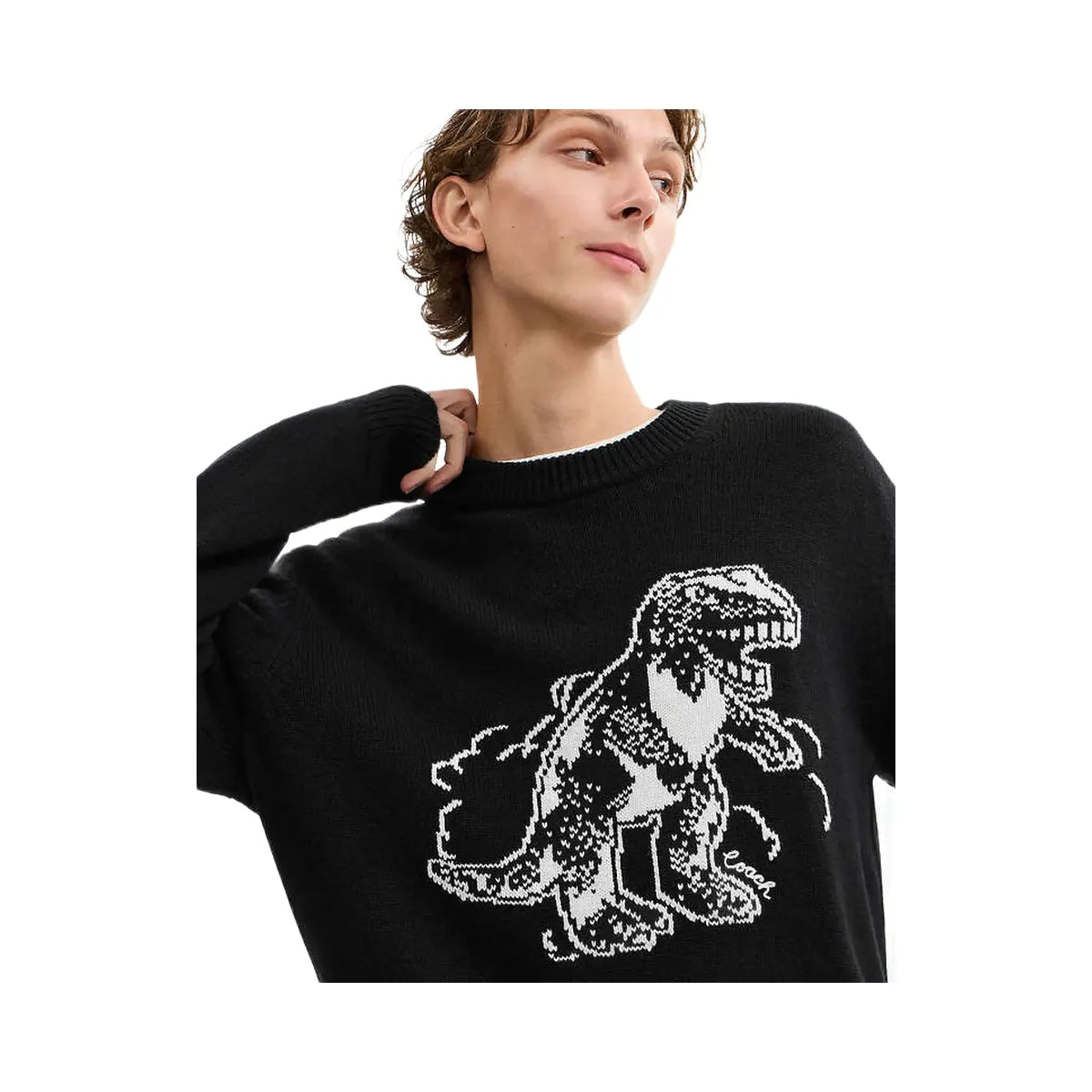 Coach Rexy Sweater Black