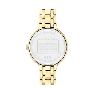 Coach Josie Watch, Rainbow - 34 mm