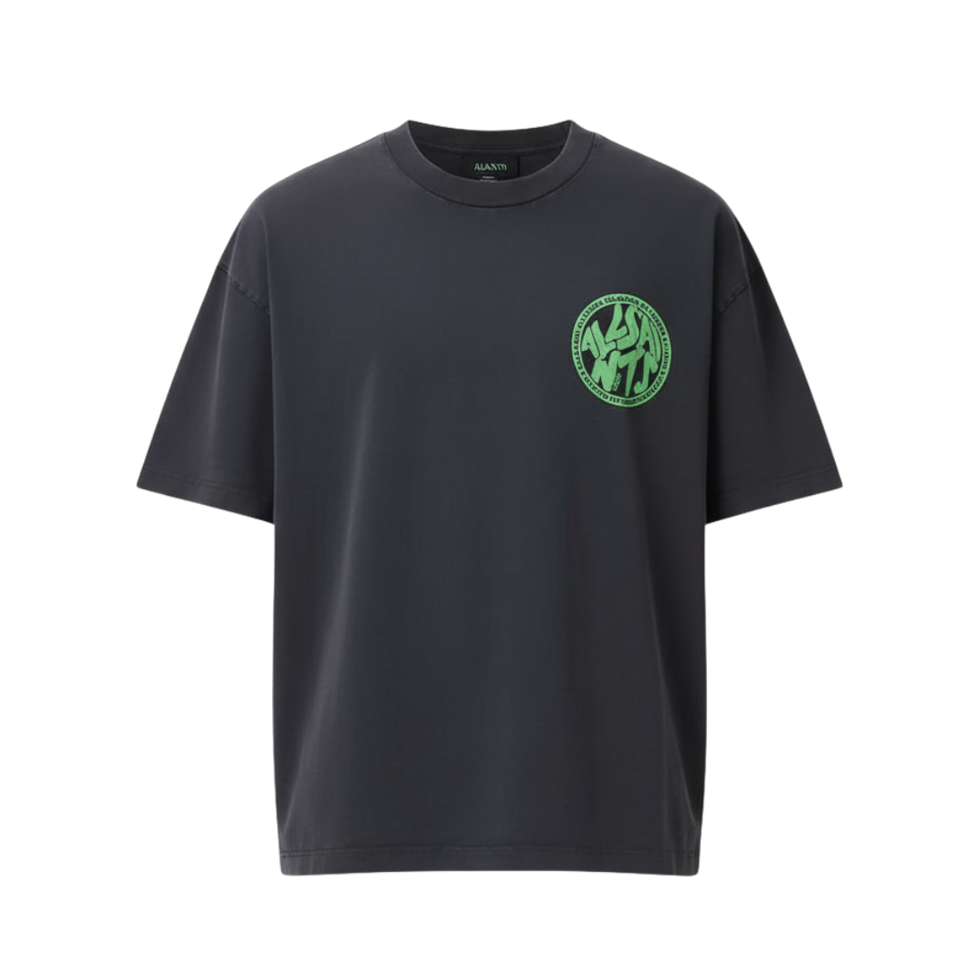 ALL SAINTS Distortion Brand Print Regular Fit Crew-Neck T-Shirt (washed-black)