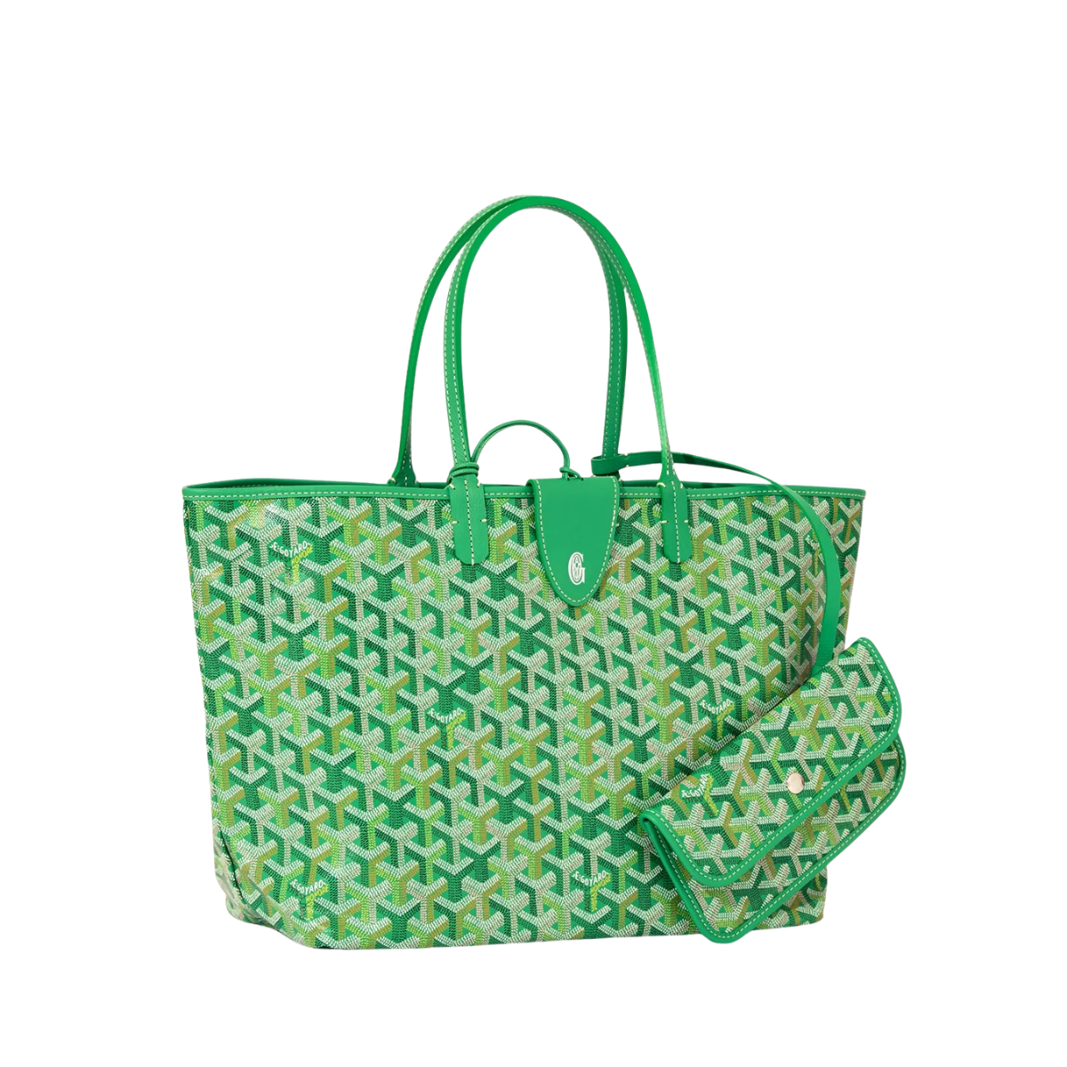 Goyard Saint Louis PM bag multicoloured Multicoloured Meadow Green