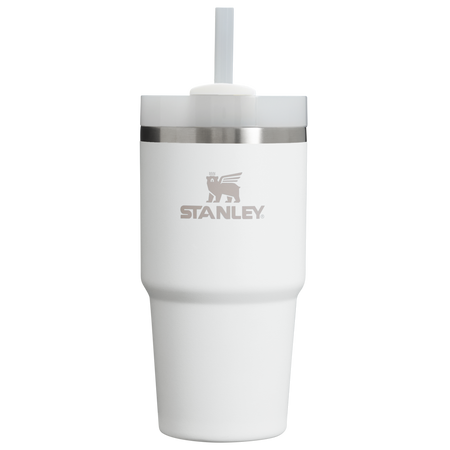 Stanley The Quencher H2.0 FlowState Tumbler 20 OZ Frost