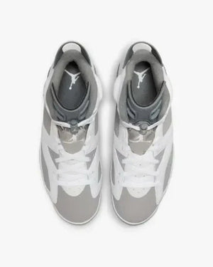 Jordan 6 Retro Cool Grey