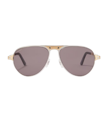 Cartier Eyewear Santos De Cartier aviator sunglasses