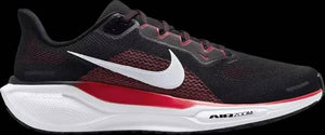 Air Zoom Pegasus 41 Black Fire Red