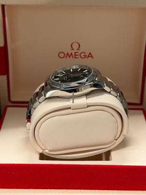 Omega Seamaster Aqua Terra150 34 Mm